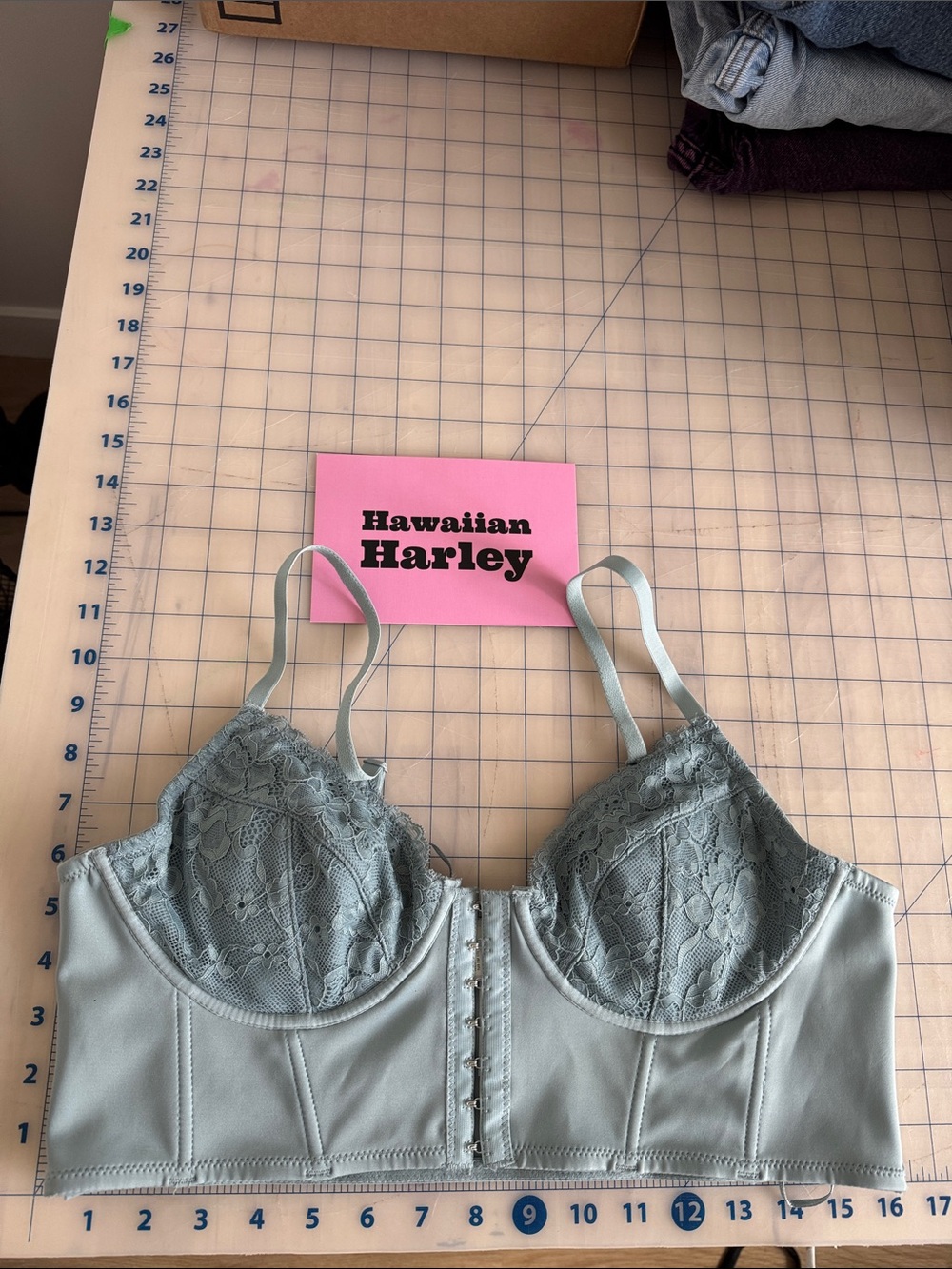 Garage Lace Longline Bra in Sage